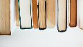 Día Internacional del Libro: Una fiesta de páginas, letras y mundos infinitos 🌍