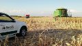Fiscales investigan si la agropecuaria Surcos estafó a sus inversores bursátiles
