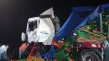 Un tren arrolló un camión y complicó la circulación por uno de los caminos alternativos para llegar de Rosario a Buenos Aires