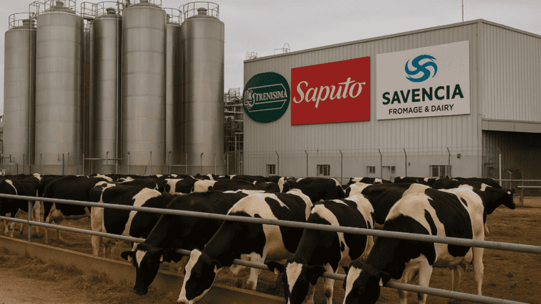 Radiografía del sector lácteo argentino