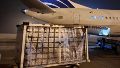 Un hito logístico para el aeropuerto de Rosario: ya exporta carne y pescado