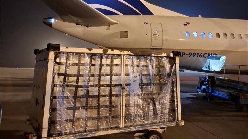 La primera exportación incluyó más de 300 kilos de carne provenientes del frigorífico Swift S.A