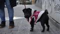 El clima en Rosario: volvió el frío tras las lluvias