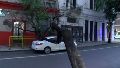 Se le cayó un árbol sobre el auto mientras esperaba el verde del semáforo