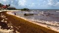 El sargazo llega en oleadas a las playas del Caribe y atenta contra el turismo: "Su acumulación parece interminable"