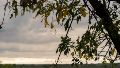 El clima en Rosario: martes con niebla y más frío